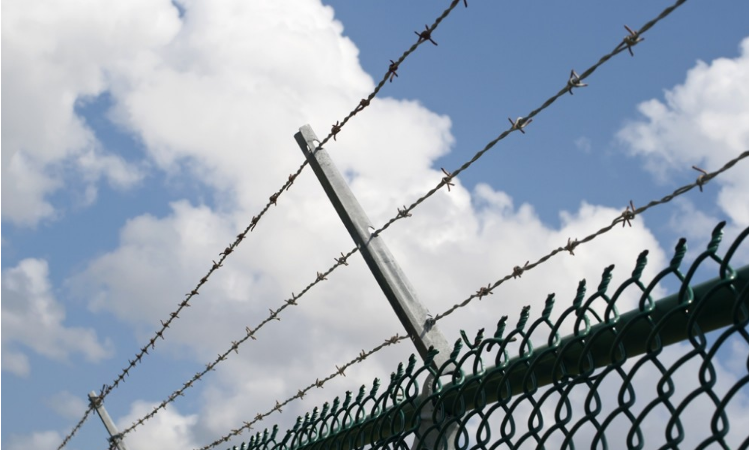 Barbed Wire | Wire Fencing Barbed Wire - Galvanised - Green